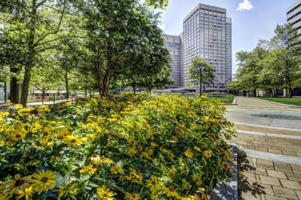 Chase Penthouse At 39 West Baltimore Inner Harbor Convention Center Free Indoor Parking One And Two Bedrooms Eksteriør billede